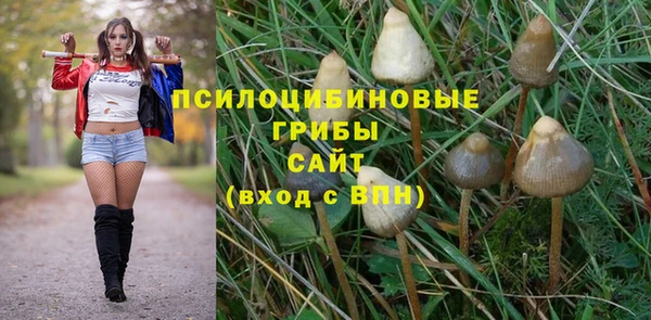 стаф Аркадак