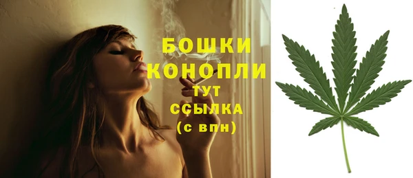 меф Арсеньев