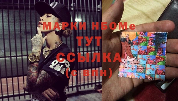 стаф Аркадак